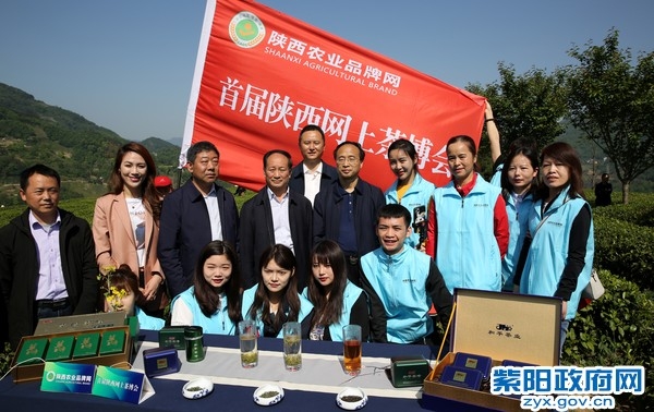 安康紫阳富硒茶（紫阳富硒茶哪个好）-硒宝网