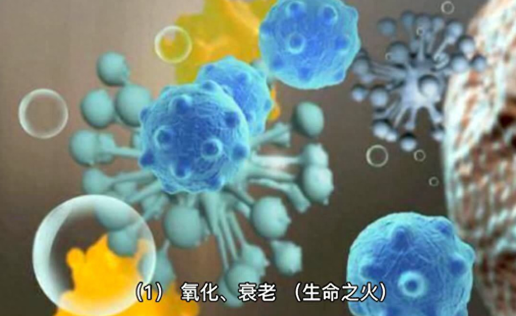 硒的副作用和补硒的好处(补硒一般要连续补多久)-硒宝网