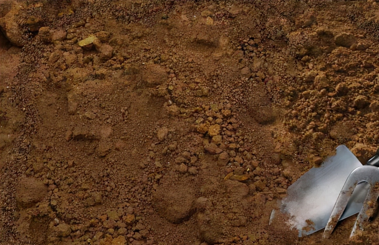 人体补硒有什么作用(补充硒的作用)-硒宝网