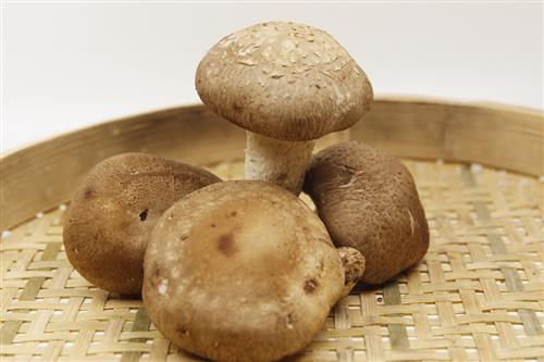 补硒的蔬菜有哪些(补硒)-硒宝网