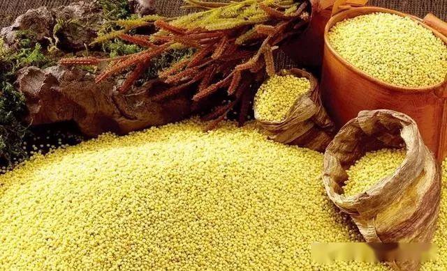 补硒吃什么好(什么牌子的补硒产品好)-硒宝网