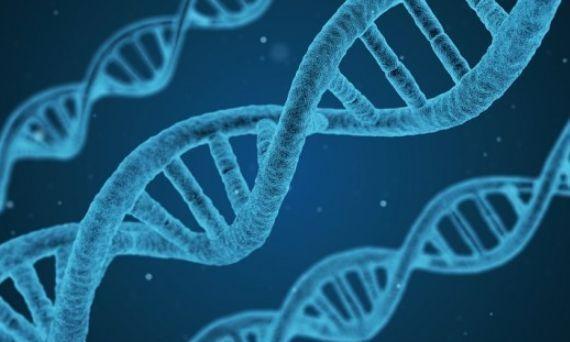 补硒的蔬菜有哪些（如何补硒d.吃高吉星蛋白硒好）-硒宝网