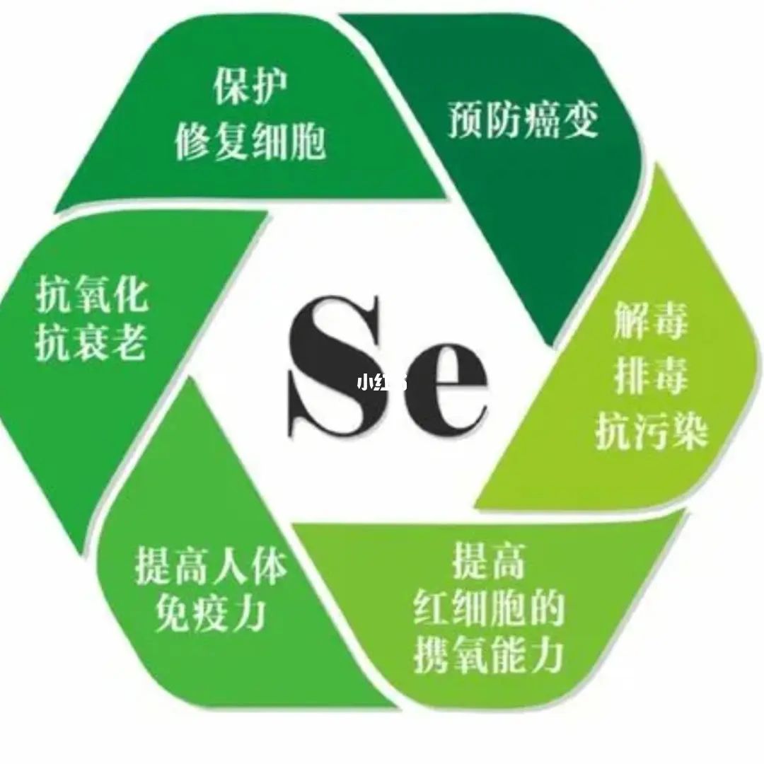 人体补充硒有什么好处(好处人体补充硒有哪些)-硒宝网