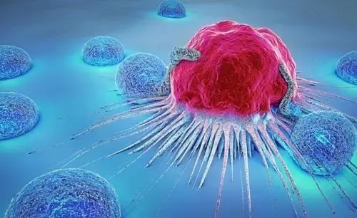 怎么补硒元素（补充硒元素的最好的药品）-硒宝网