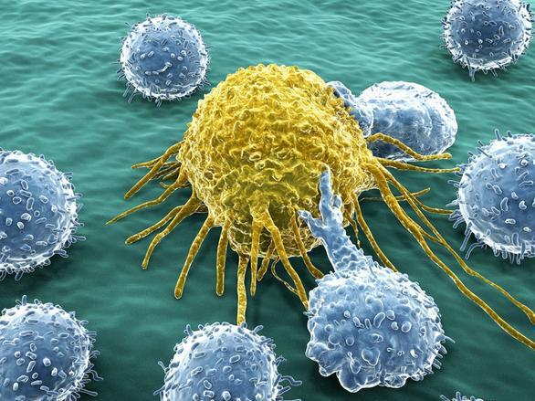 怎么补硒元素（补充硒元素的最好的药品）-硒宝网