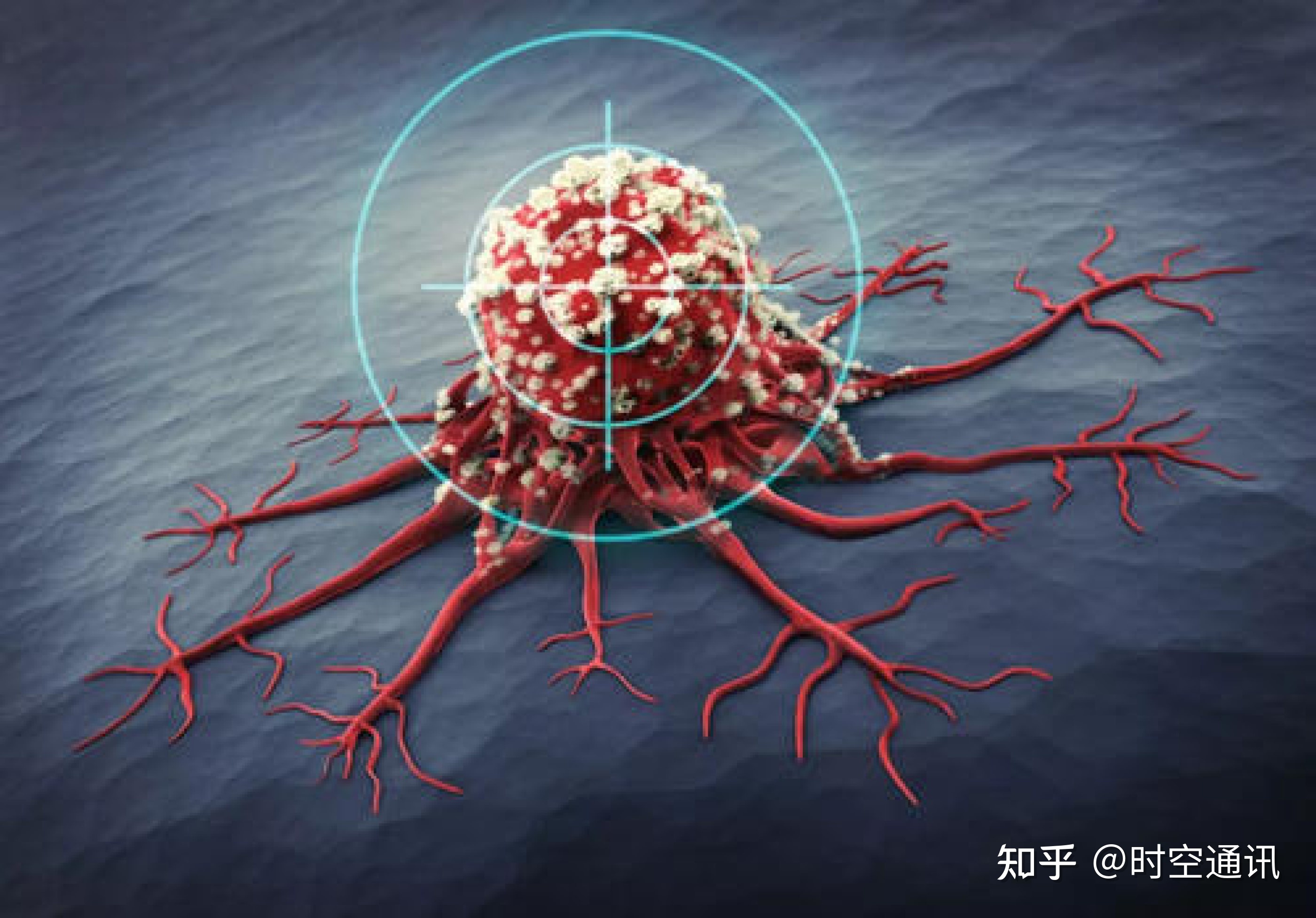 怎么补硒元素（补充硒元素的最好的药品）-硒宝网