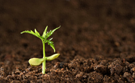 人为什么补硒(人补硒有什么好处)-硒宝网