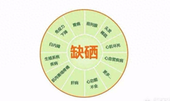 科学补硒有哪十大好处(如何科学补硒)-硒宝网