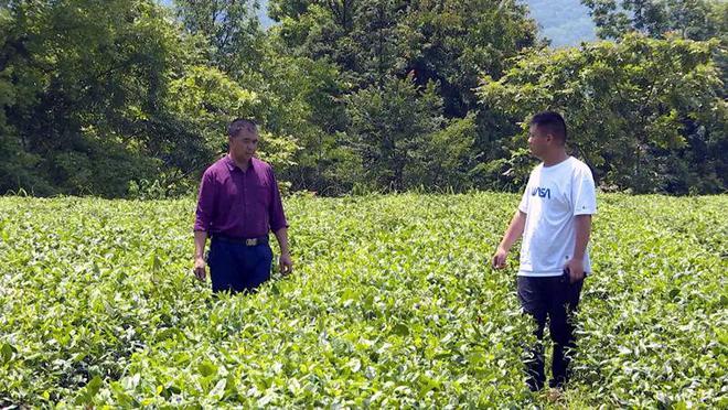 凤冈锌硒红茶(凤冈锌硒红茶的功效)-硒宝网