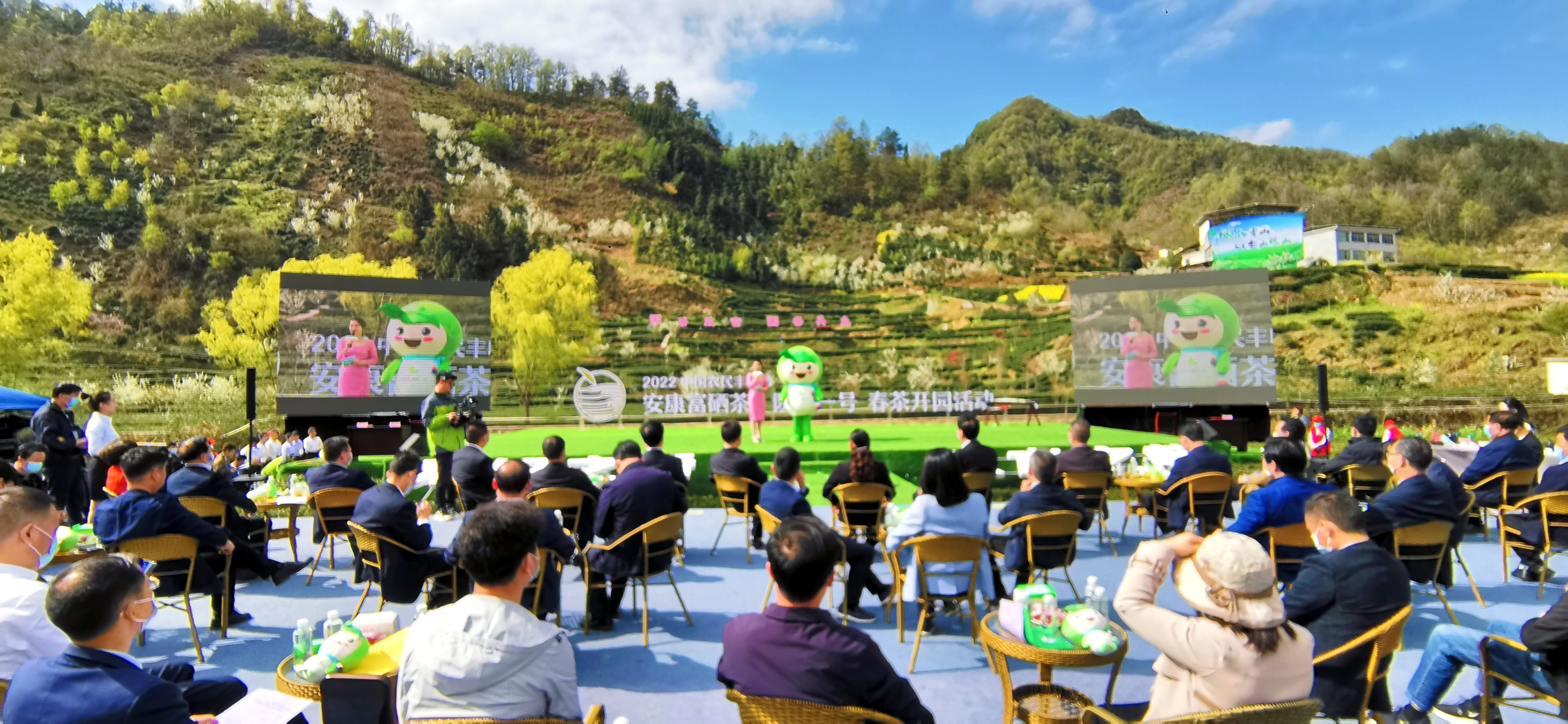 安康富硒茶陕茶一号（紫阳富硒茶属于什么茶）-硒宝网