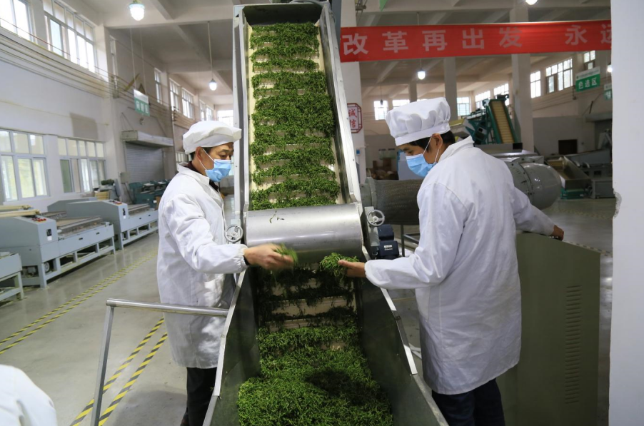 凤冈锌硒红茶（凤岗锌硒红茶）-硒宝网