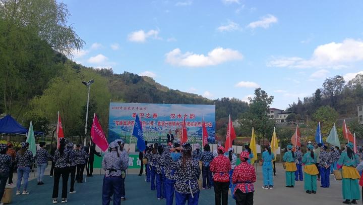 安康富硒茶陕茶一号(安康富硒经济新闻)-硒宝网