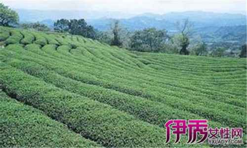 怎样补硒更健康更有效(刘延宁科学补硒健康中国)-硒宝网