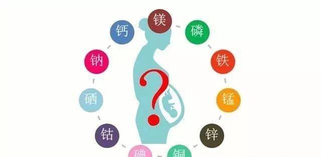 含锌和硒的食物（含硒食物）-硒宝网