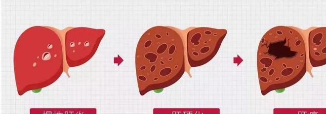 补硒十大功效是什么(硒是补什么作用)-硒宝网