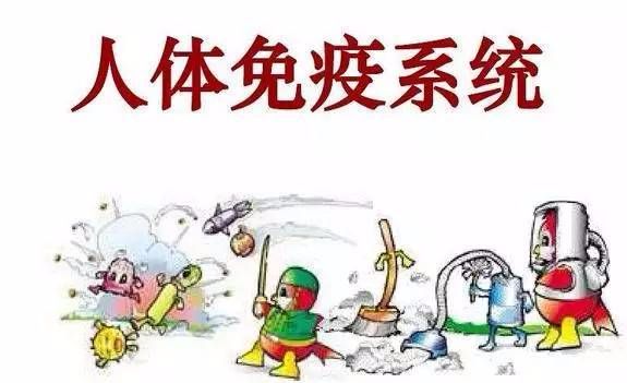 女人补硒吃什么药好(俄罗斯补硒药)-硒宝网