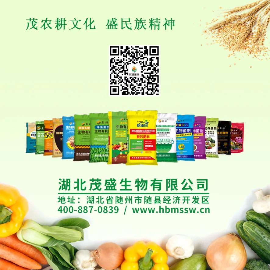 补硒日从哪一年开始(补硒一般需要补多久)-硒宝网