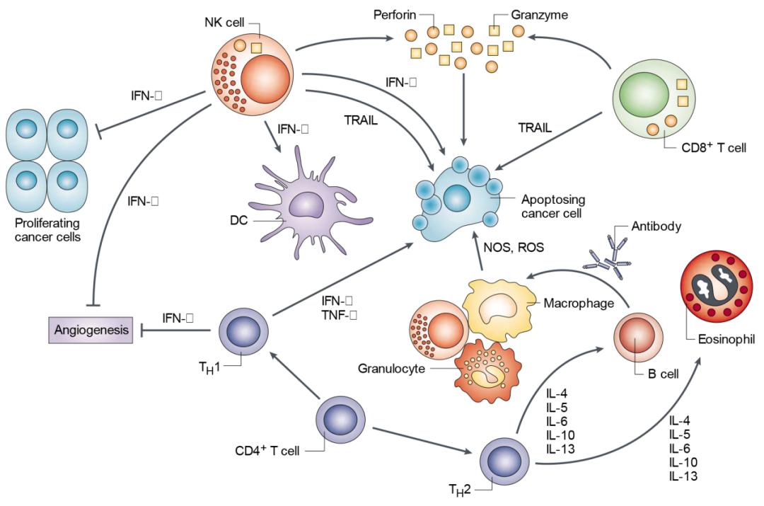 补硒对睡眠有帮助吗(新硒望科学补硒协会)-硒宝网