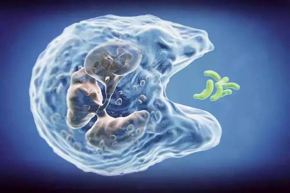 补硒对睡眠有帮助吗(新硒望科学补硒协会)-硒宝网