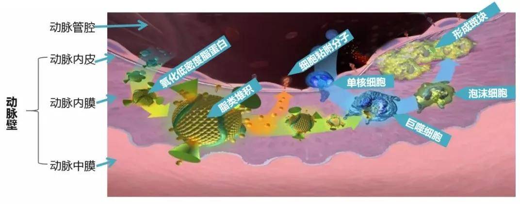 人每天补充多少硒（人体每天补充硒）-硒宝网