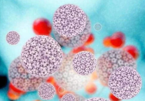 hpv可以补硒吗（补硒可以提高男性性功能吗）-硒宝网