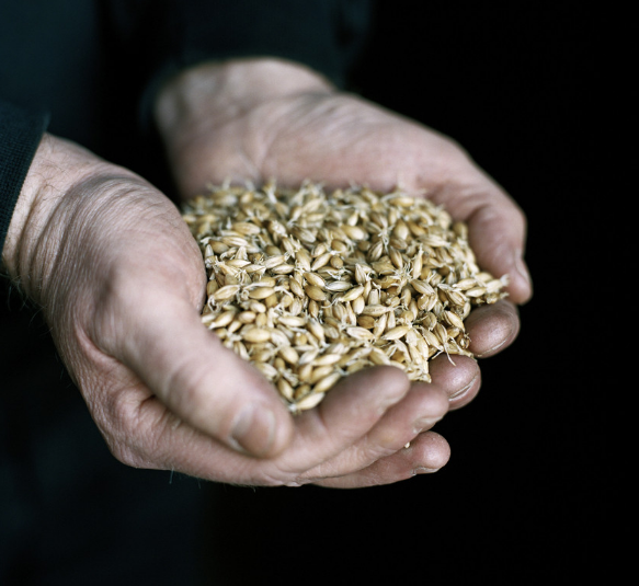 hpv可以补硒吗（补硒可以提高男性性功能吗）-硒宝网