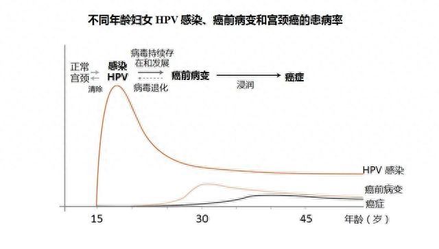 hpv可以补硒吗(补硒可以hpv转阴吗)-硒宝网