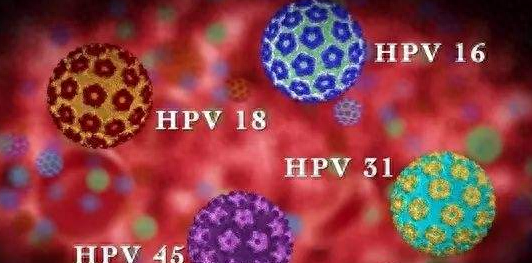 hpv可以补硒吗(补硒可以hpv转阴吗)-硒宝网
