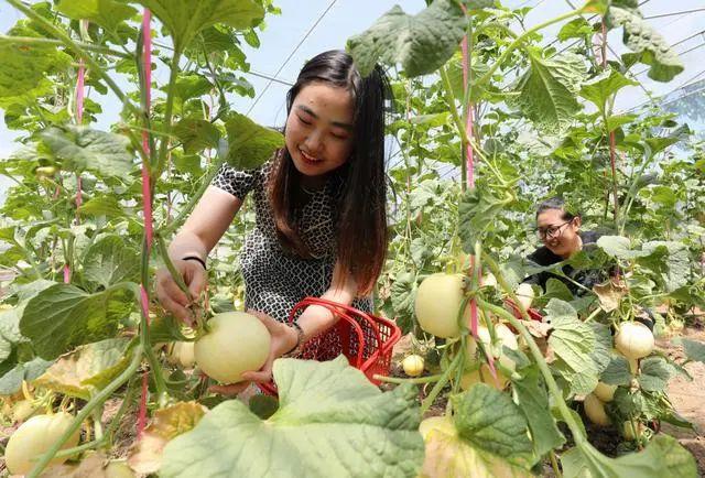 富硒农产品有哪些（富硒农业）-硒宝网