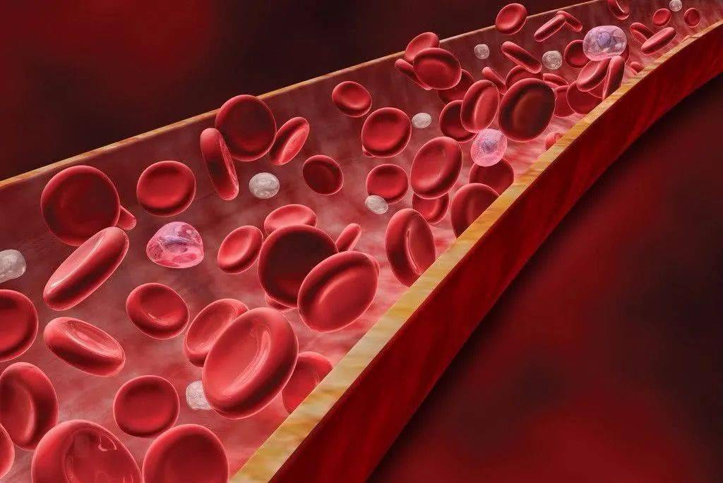 补硒血压更高了(硒氏珍宝高硒玉米粉)-硒宝网