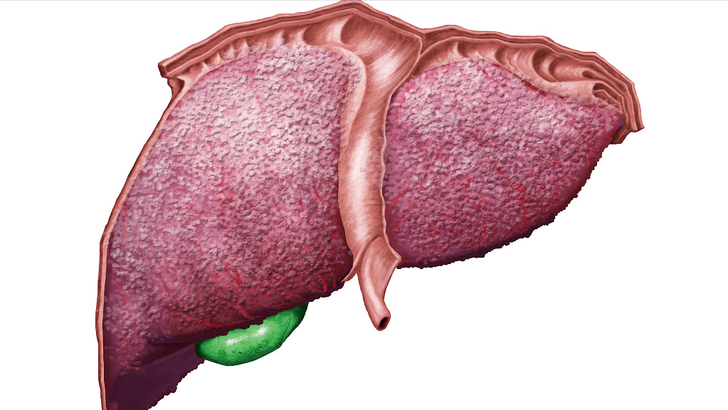 补硒补多了会出现什么症状(补硒一般要连续补多久)-硒宝网