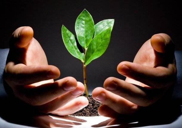 平时需要补硒吗（人体需要补硒）-硒宝网