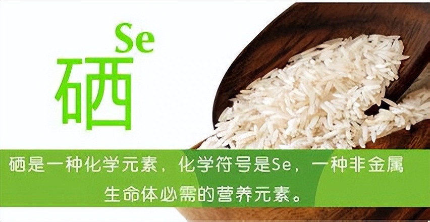 人体硒元素怎么补(硒元素缺乏较为严重的地区是)-硒宝网