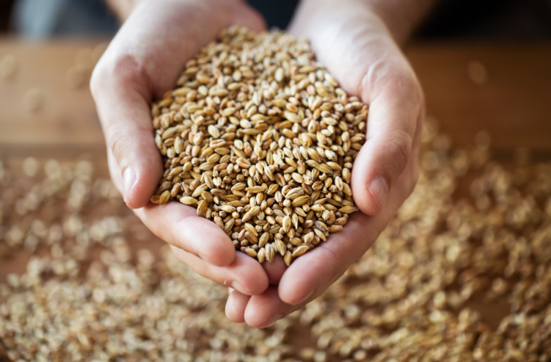 吃麦芽可以补硒吗(如何补硒吃高吉星蛋白硒推荐)-硒宝网