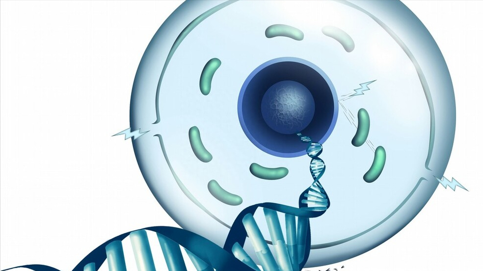 人体硒元素怎么补（人体补元素硒怎么补）-硒宝网