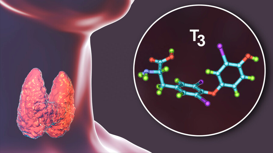 人体硒元素怎么补（人体补元素硒怎么补）-硒宝网