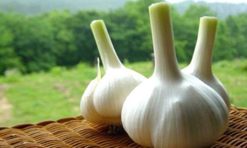 哪些食物补硒(补硒一般要连续补多久)-硒宝网