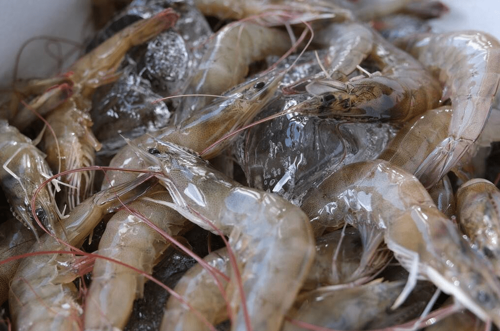 宝宝补硒的食物有哪些（哺乳期补硒对宝宝不好吗）-硒宝网