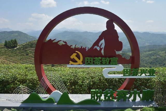 陕西安康富硒茶（安康富硒茶）-硒宝网