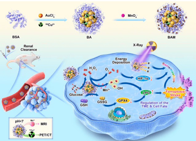 补硒对hpv有好处吗（hpv感染吃硒维康好使吗）-硒宝网