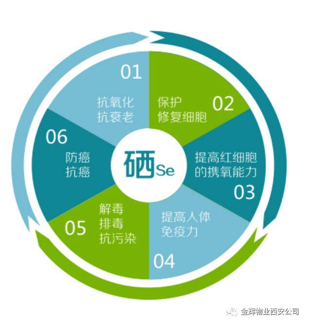 女人多补硒对皮肤有好处吗(补硒女性)-硒宝网