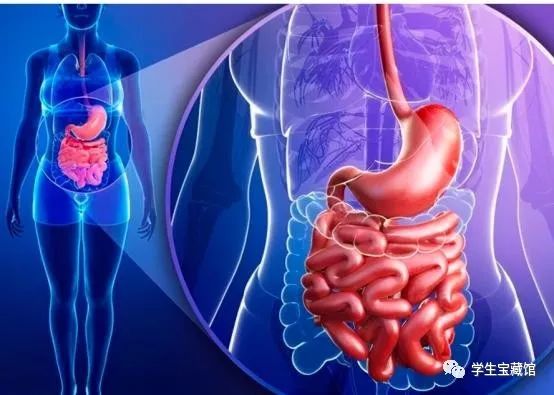 怎样补充硒元素效果好（补充硒元素的最好的药品）-硒宝网