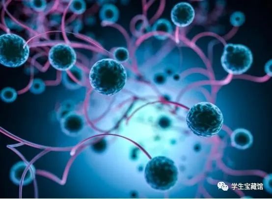 怎样补充硒元素效果好（补充硒元素的最好的药品）-硒宝网