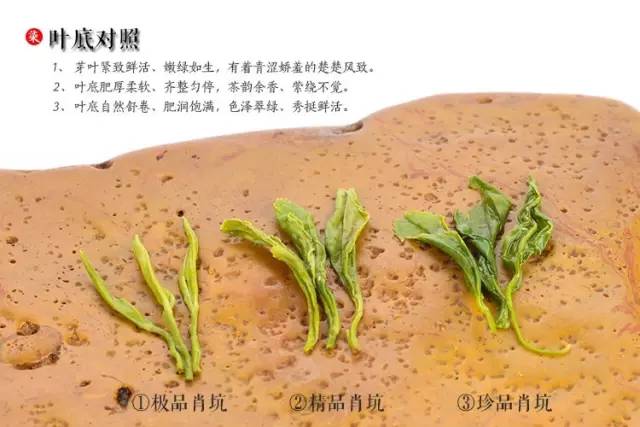 野生富硒茶是什么茶(野生富硒红茶)-硒宝网