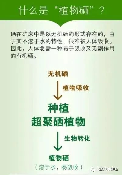 最新补硒制剂是有机硒（硒补充剂有哪些）-硒宝网