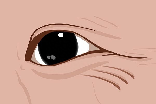 补硒要补什么样的硒（硒质控样浓度）-硒宝网