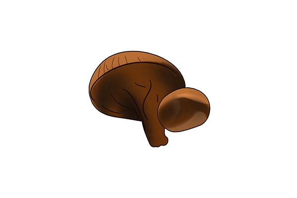 补硒要补什么样的硒（硒质控样浓度）-硒宝网