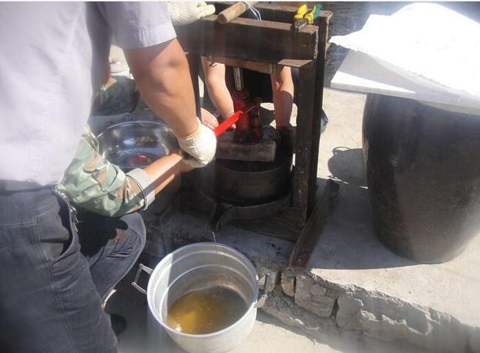 高血压可以补硒吗(一个肾可以补硒吗)-硒宝网