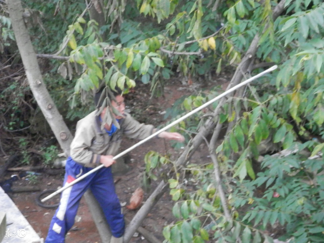 高血压可以补硒吗(一个肾可以补硒吗)-硒宝网