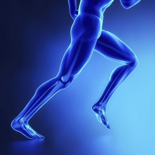 高血压可以补硒吗(一个肾可以补硒吗)-硒宝网